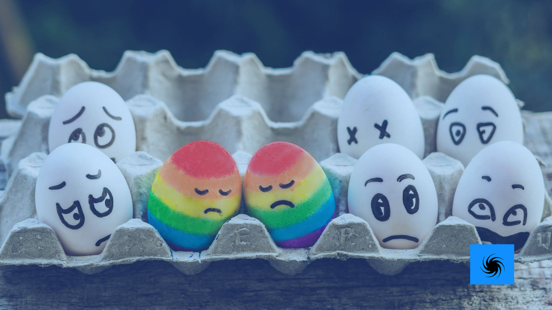 In einem Eierkarton sind zwei Eier in den LGBTQ+ Farben eingefärbt und werden von den andere Eiern komisch angeschaut.