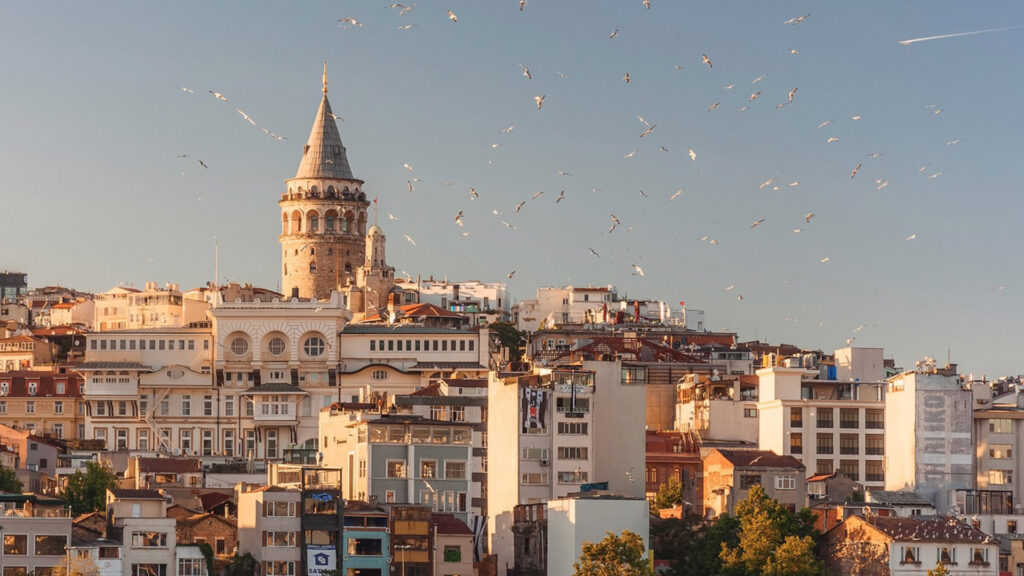 Die Stadt von Istanbul in der Abendsonne mit vielen fliegenden Vögeln.